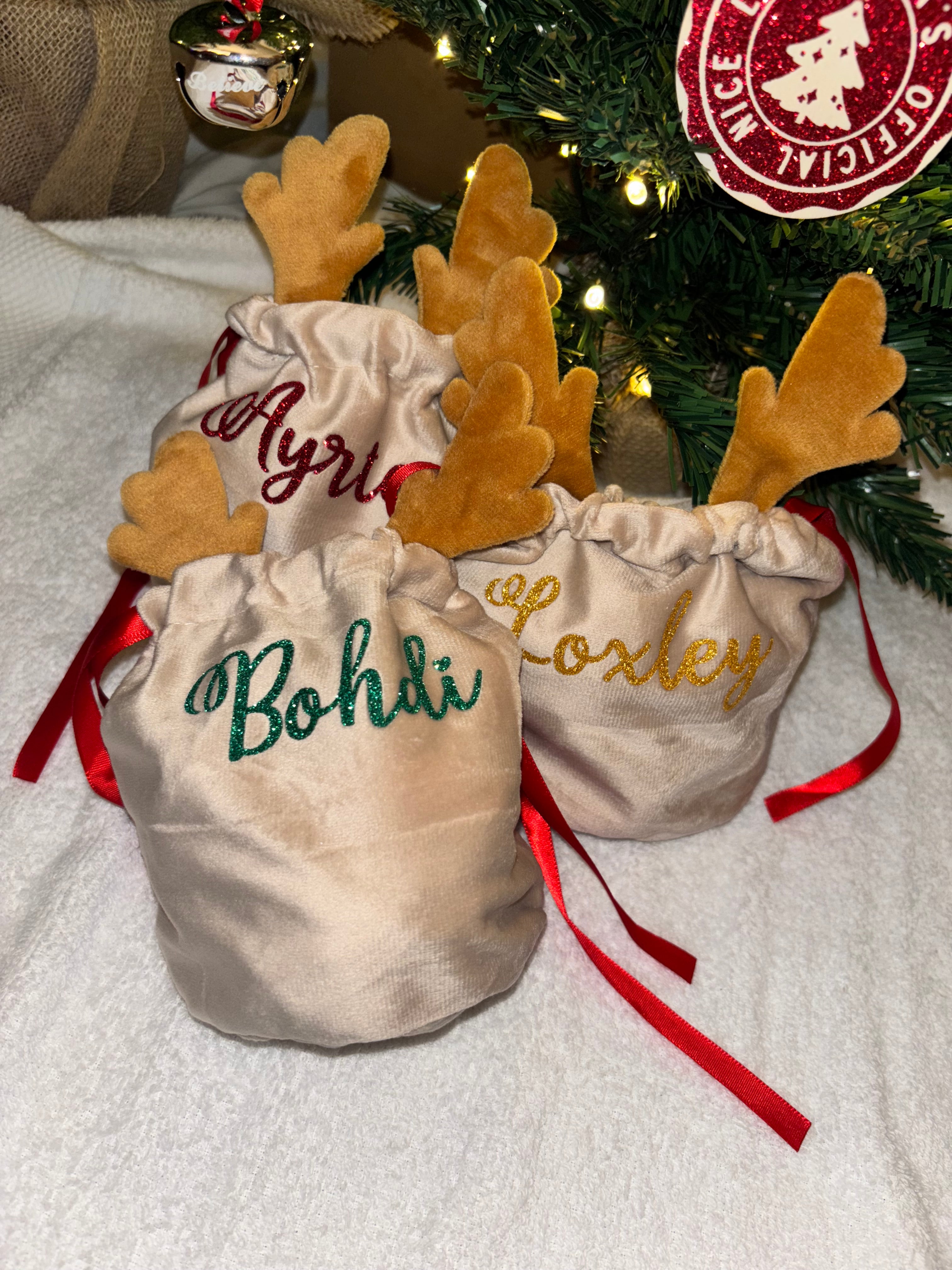 Rudolph Fabric Gift Bag