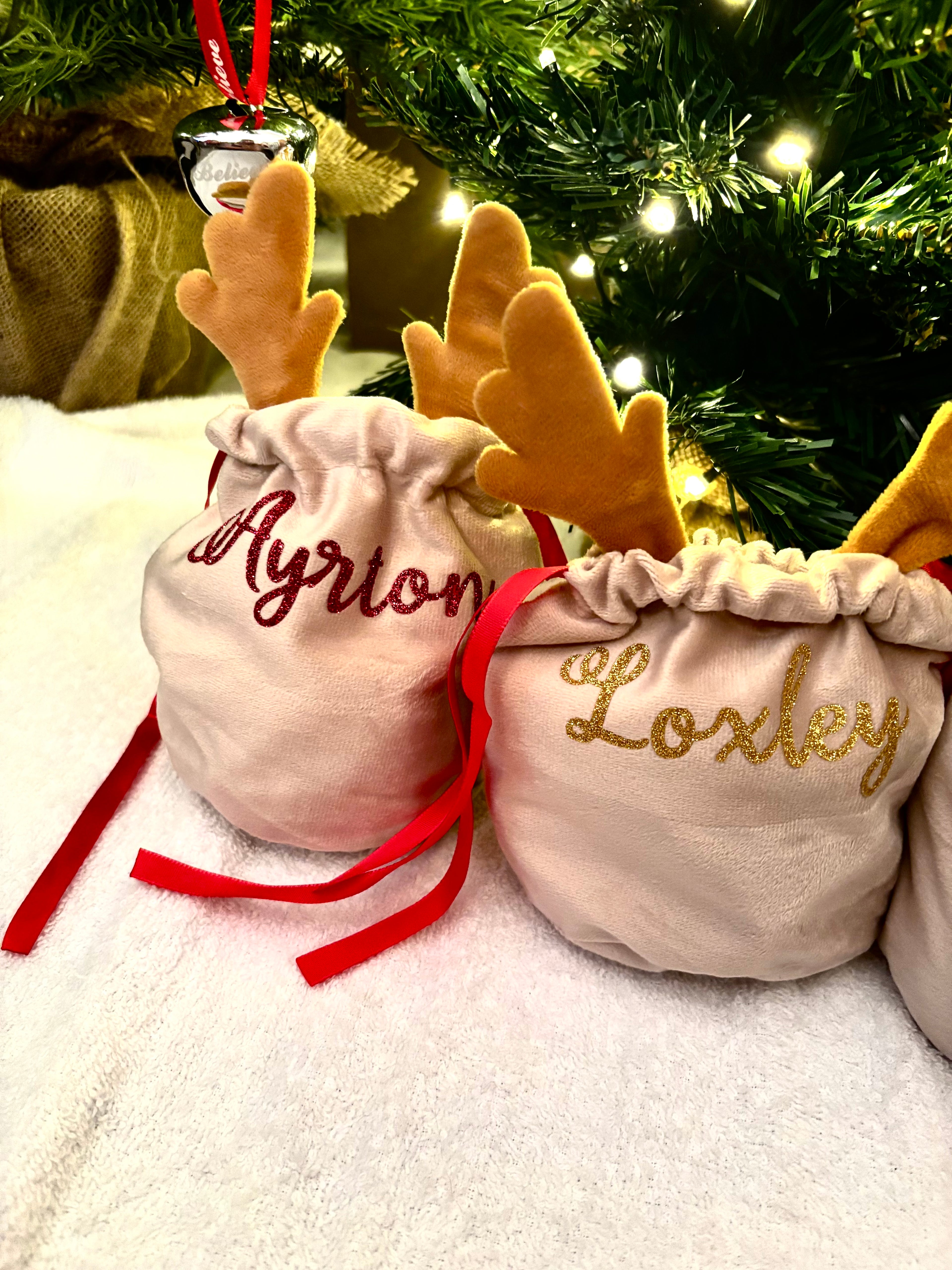 Rudolph Fabric Gift Bag