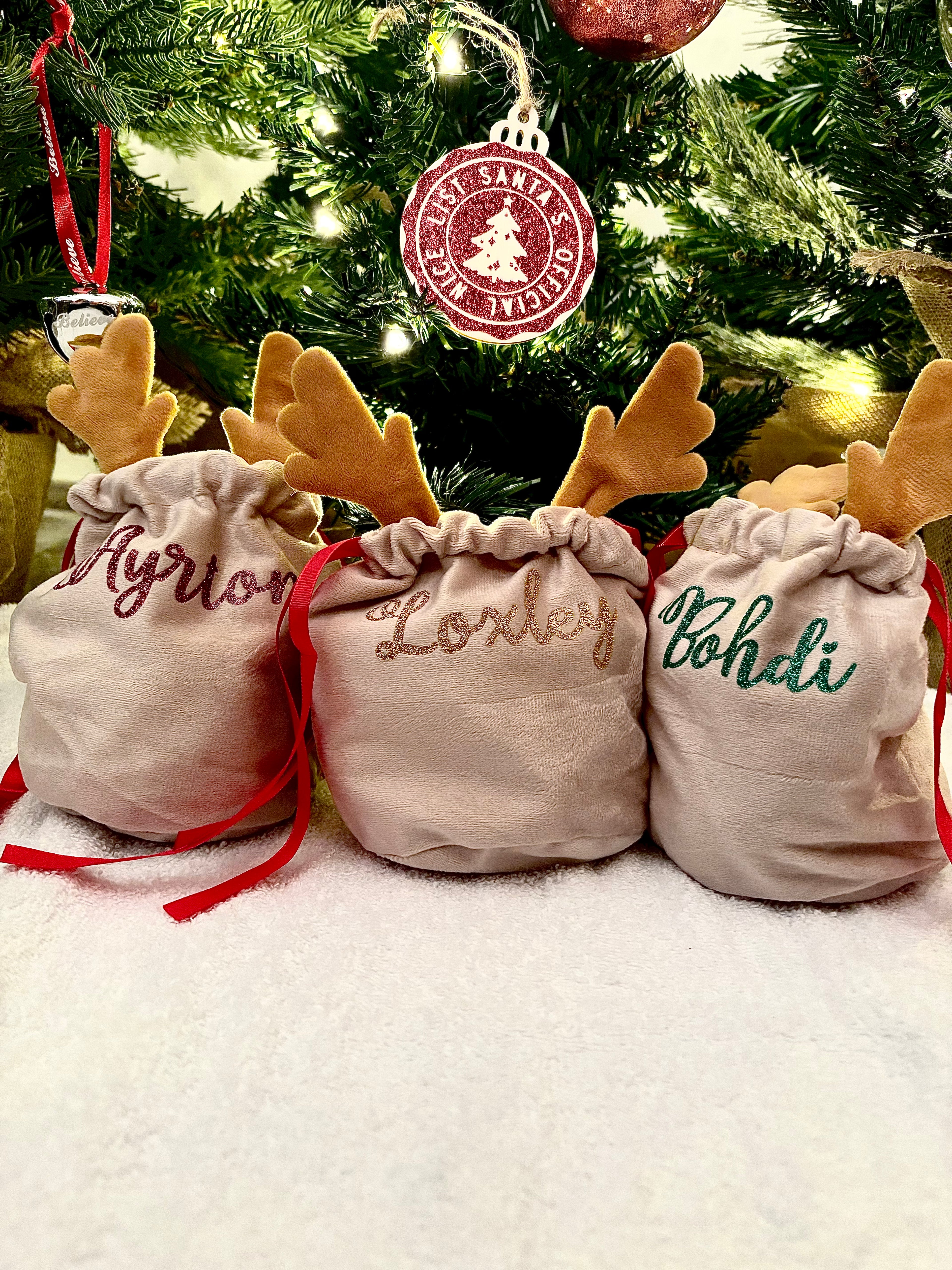 Rudolph Fabric Gift Bag